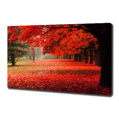 Wandbild Bäume im Herbst