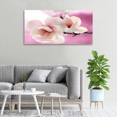 Fotobild Magnolie