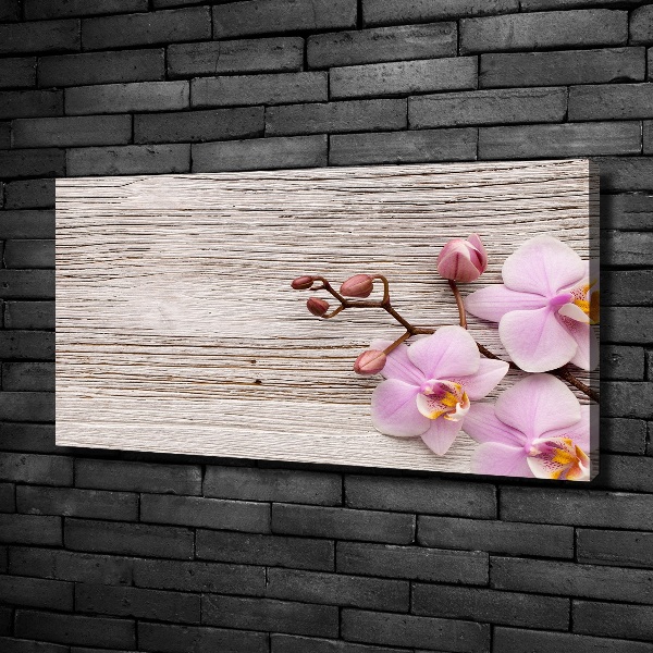 Bild auf leinwand Orchidee auf Holz