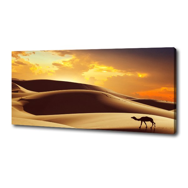 Wandbild Sahara-Kamel