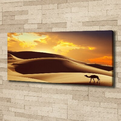 Wandbild Sahara-Kamel