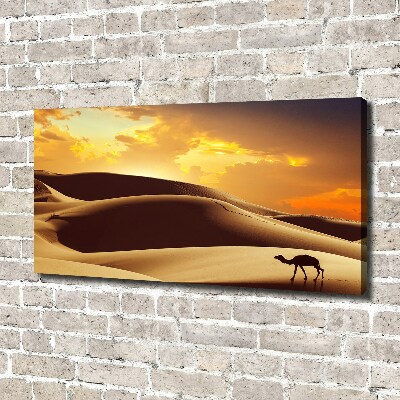 Wandbild Sahara-Kamel