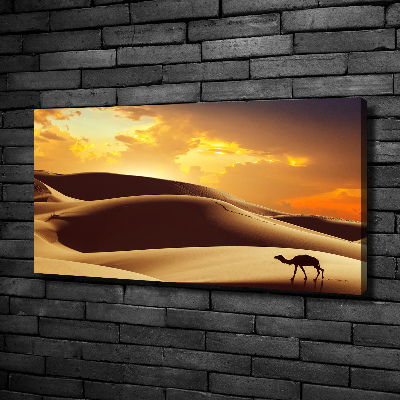 Wandbild Sahara-Kamel