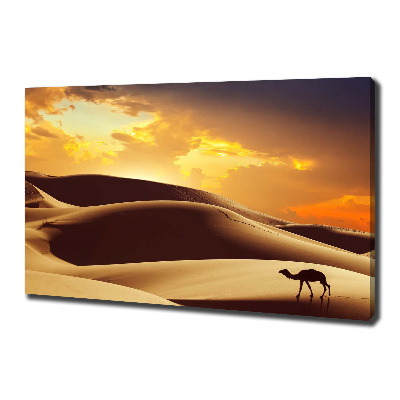 Wandbild Sahara-Kamel