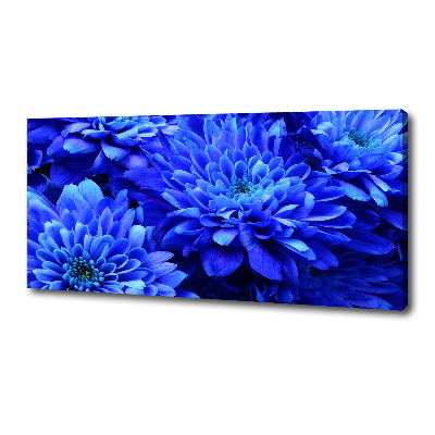 Bild auf leinwand Blaue Aster