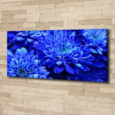 Bild auf leinwand Blaue Aster