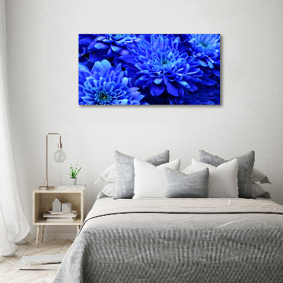 Bild auf leinwand Blaue Aster