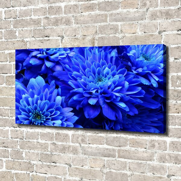 Bild auf leinwand Blaue Aster