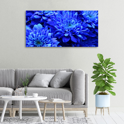 Bild auf leinwand Blaue Aster