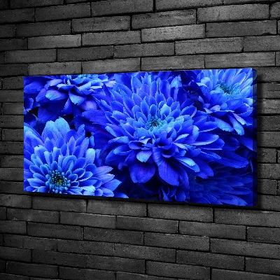 Bild auf leinwand Blaue Aster