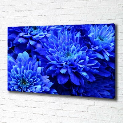 Bild auf leinwand Blaue Aster