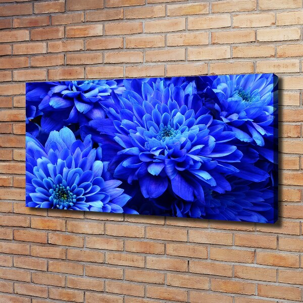 Bild auf leinwand Blaue Aster