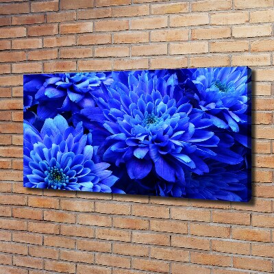 Bild auf leinwand Blaue Aster