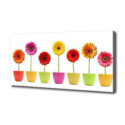 Wandbild Bunte Gerbera