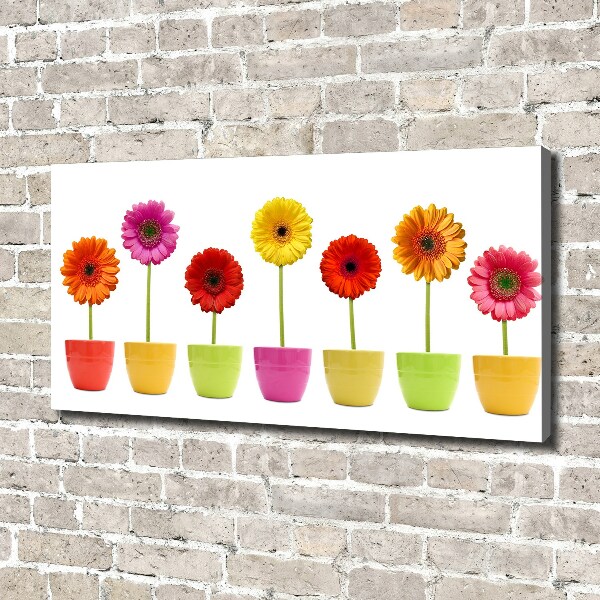 Wandbild Bunte Gerbera