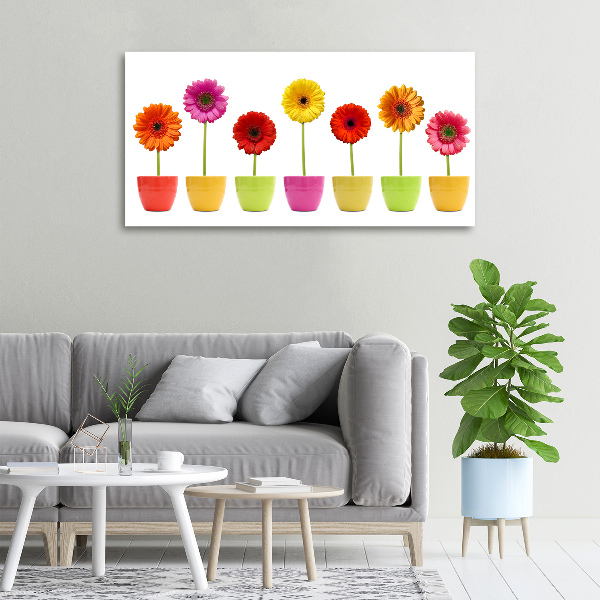 Wandbild Bunte Gerbera