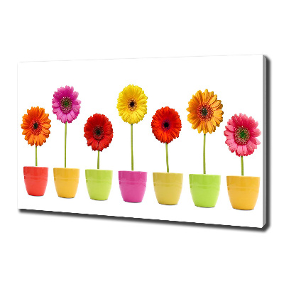 Wandbild Bunte Gerbera