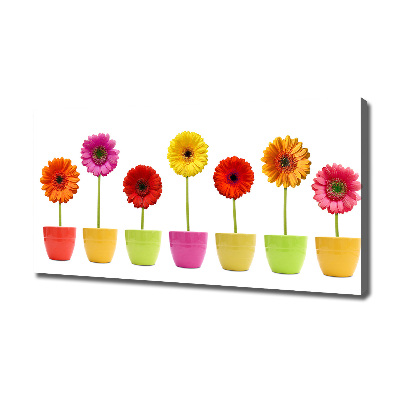 Wandbild Bunte Gerbera