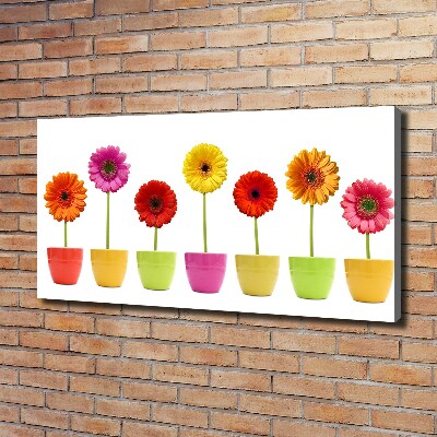 Wandbild Bunte Gerbera