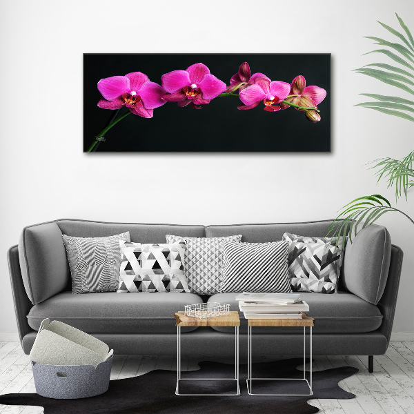 Bild auf leinwand Orchidee