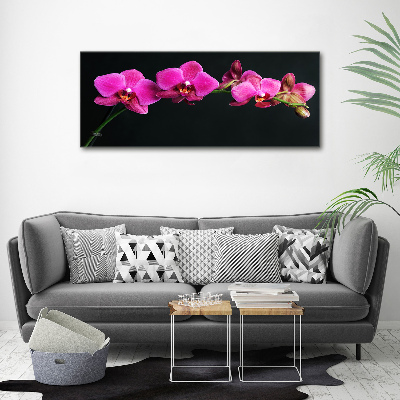 Bild auf leinwand Orchidee
