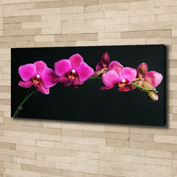 Bild auf leinwand Orchidee