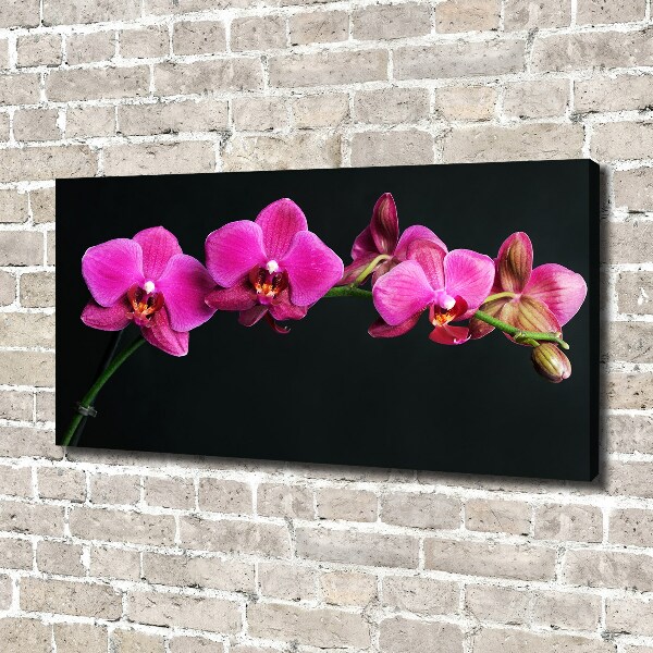 Bild auf leinwand Orchidee