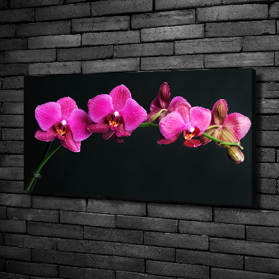 Bild auf leinwand Orchidee