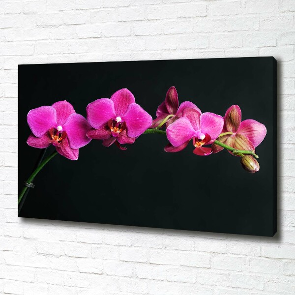 Bild auf leinwand Orchidee