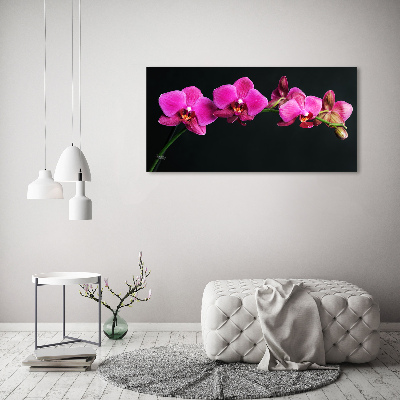 Bild auf leinwand Orchidee