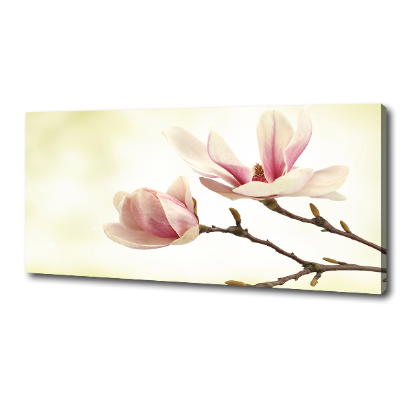 Wandbild Magnolie