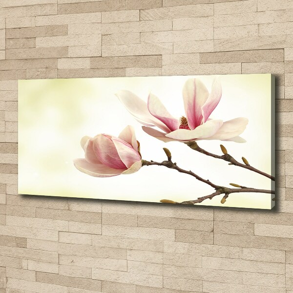 Wandbild Magnolie