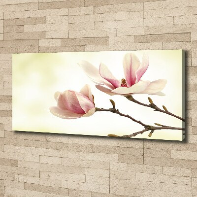 Wandbild Magnolie