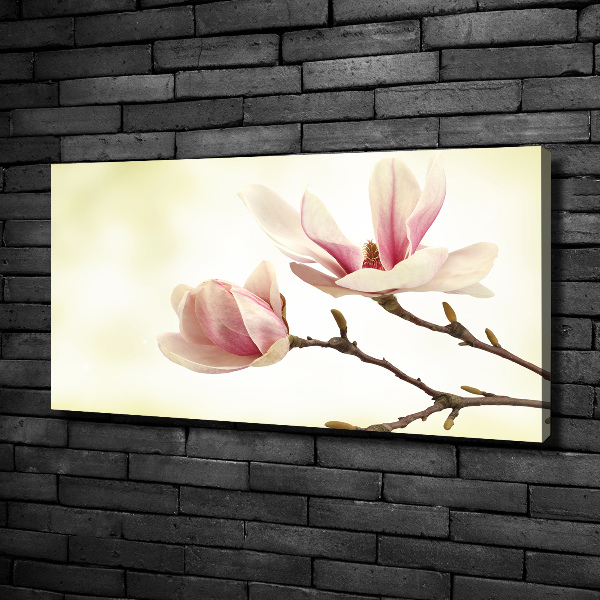 Wandbild Magnolie