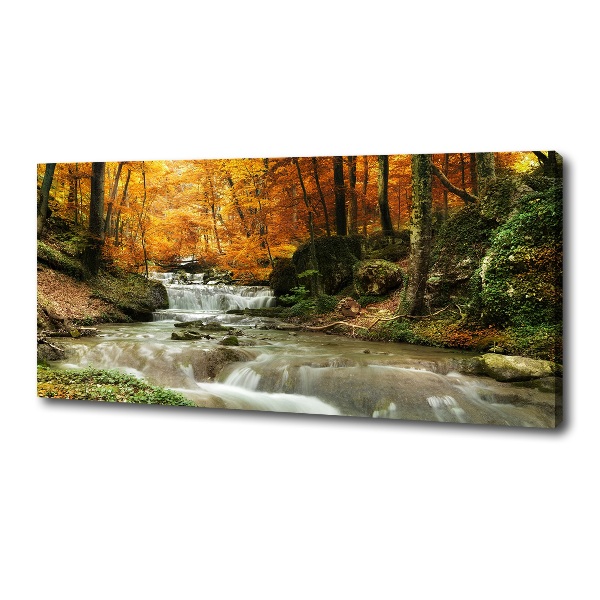 Wandbild Wasserfall im Wald