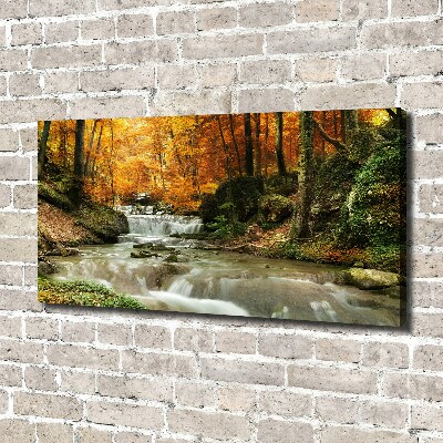 Wandbild Wasserfall im Wald