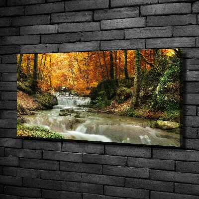 Wandbild Wasserfall im Wald