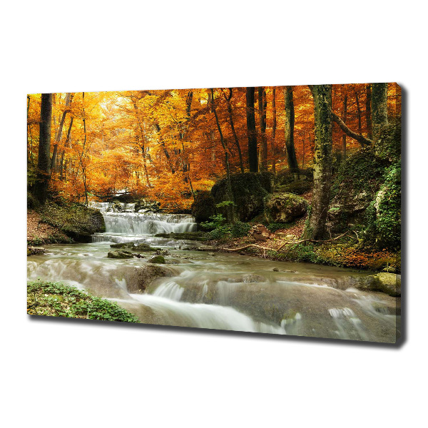 Wandbild Wasserfall im Wald