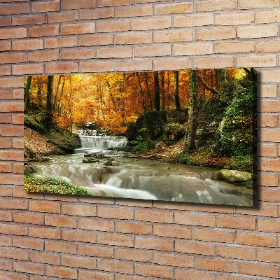 Wandbild Wasserfall im Wald