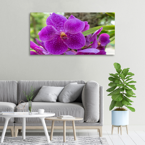 Bild auf leinwand Orchidee