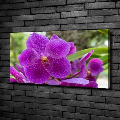 Bild auf leinwand Orchidee