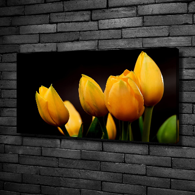 Bild auf leinwand Gelbe Tulpen