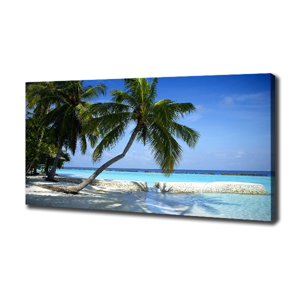 Bild auf leinwand Tropischer Strand