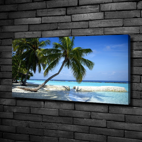 Bild auf leinwand Tropischer Strand