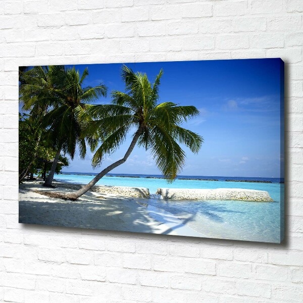 Bild auf leinwand Tropischer Strand