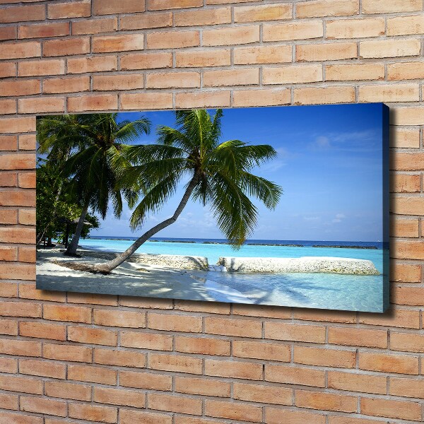 Bild auf leinwand Tropischer Strand