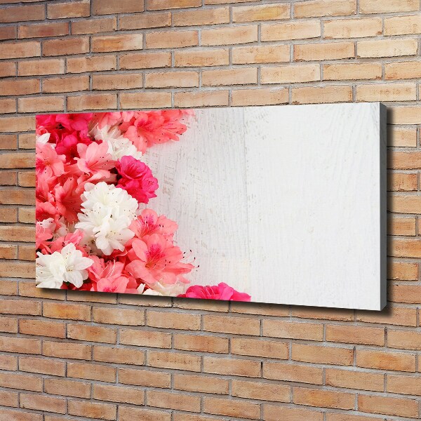 Bild auf leinwand Blumen