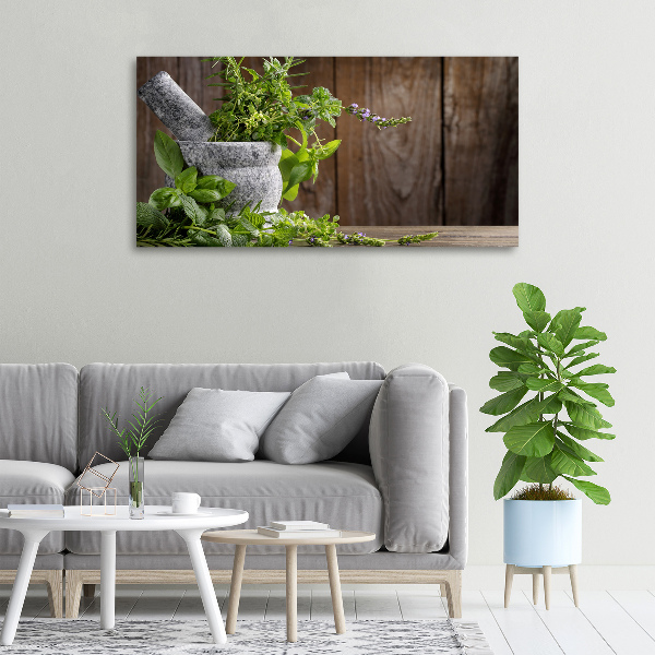 Fotobild Kräuter im Mörser