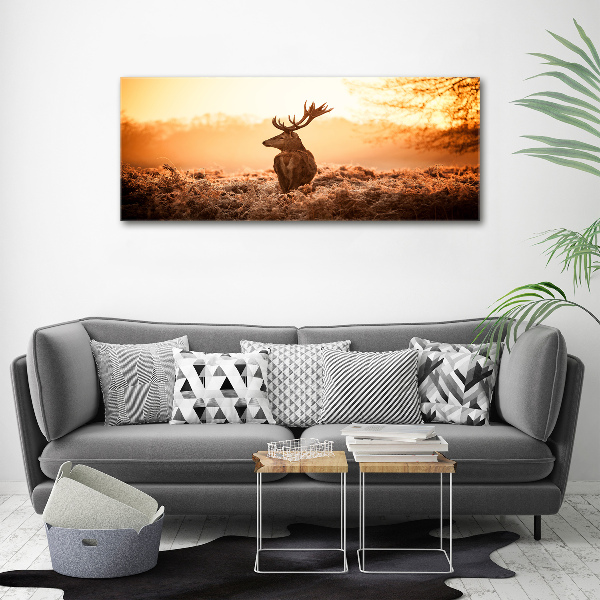 Wandbild Hirsch-Sonnenaufgang