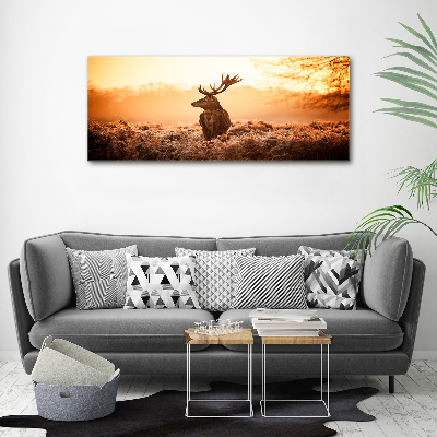 Wandbild Hirsch-Sonnenaufgang
